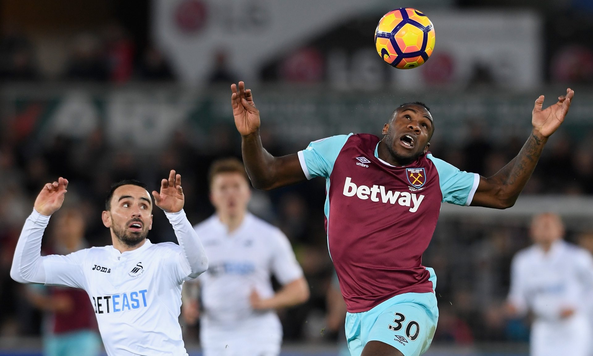 罗贝里致敬 罗贝里致敬