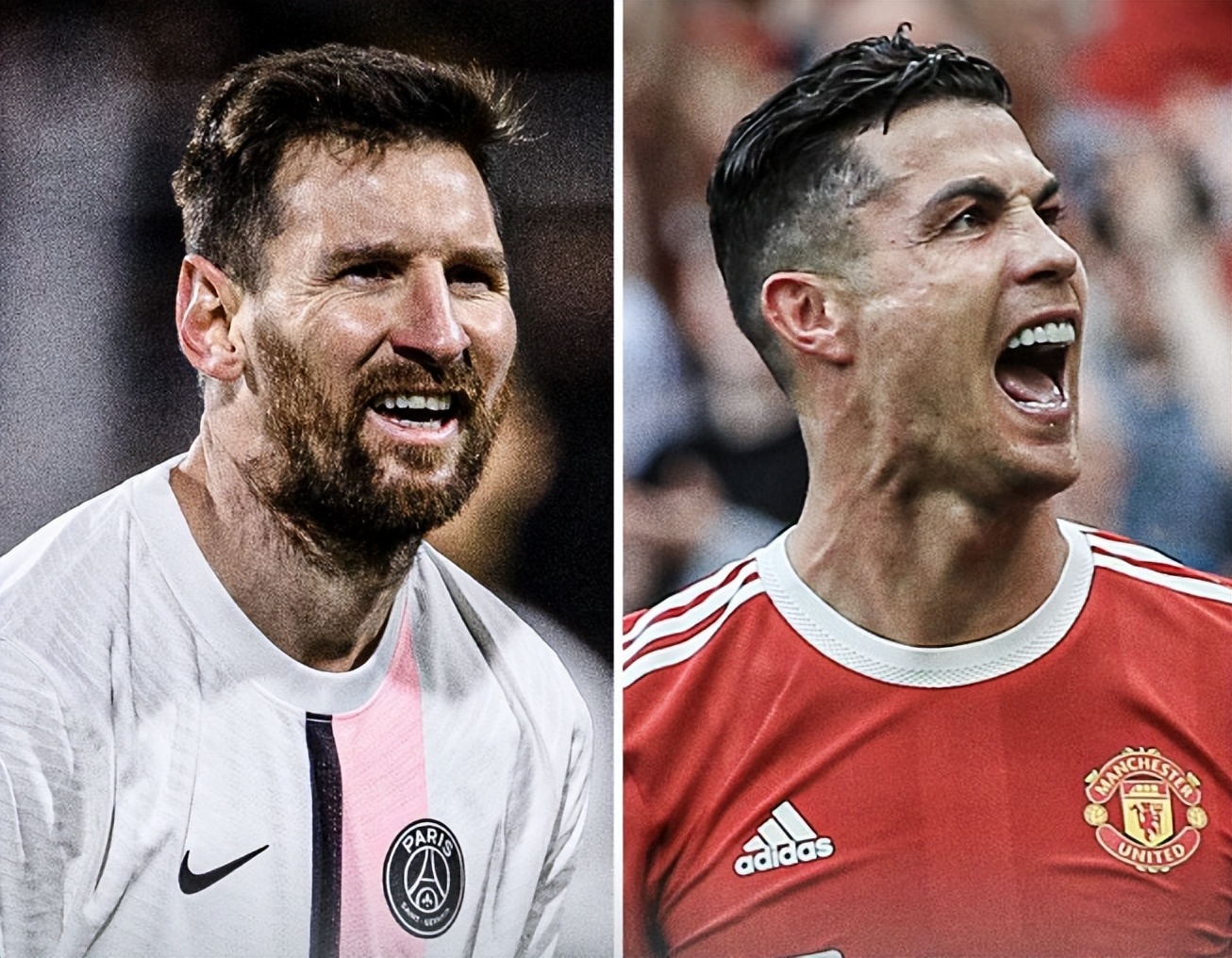 却再次强调 却再次强调