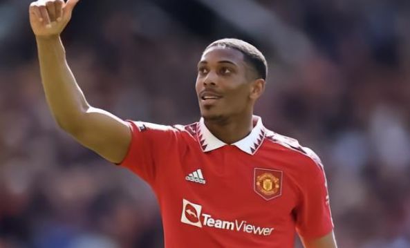 的推动下 的推动下